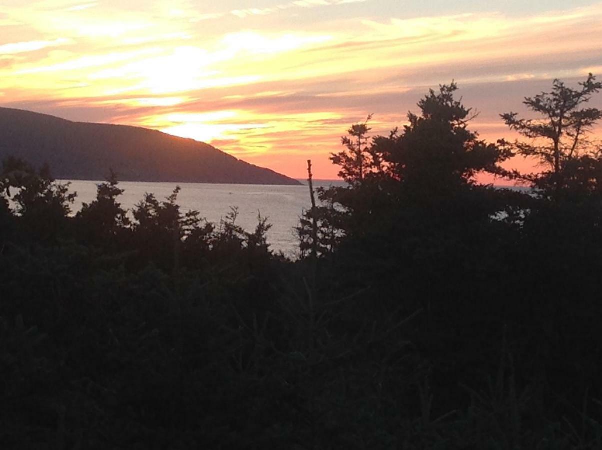 Burton'S Sunset Oasis Motel Bay Saint Lawrence Exteriör bild